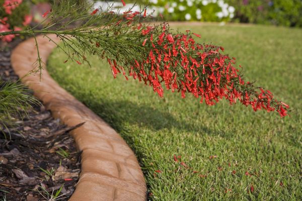 Brick Edging in Honolulu