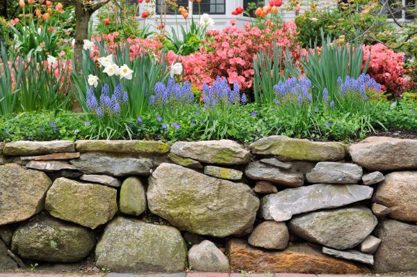 Stone Wall Hardscaping in Honolulu