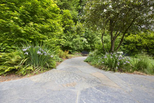 Stone Hardscape Service in Honolulu