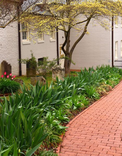 Brick Flatwork Repair in Honolulu